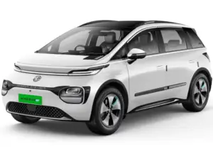 Windsor EV Exclusive Pro