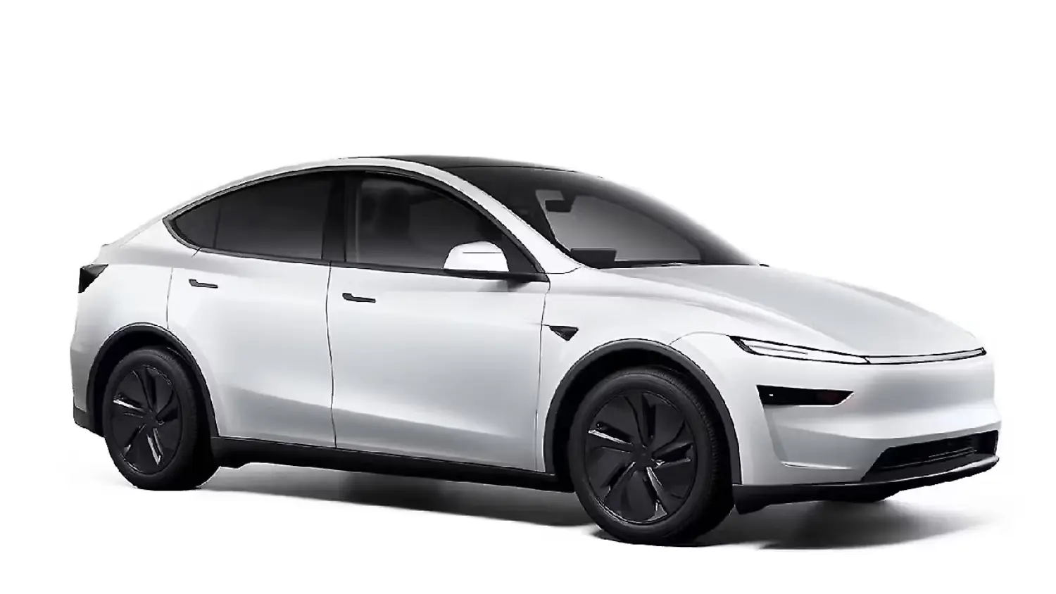 tesla- model y | Carzovo